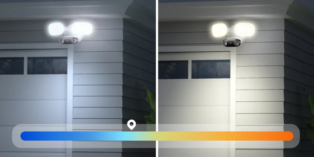 Elite Pro Floodlight PoE