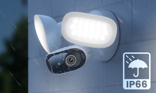 Elite Pro Floodlight PoE