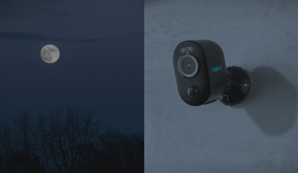 Argus 3 Pro